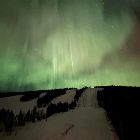Lapland Lomalaavu *
