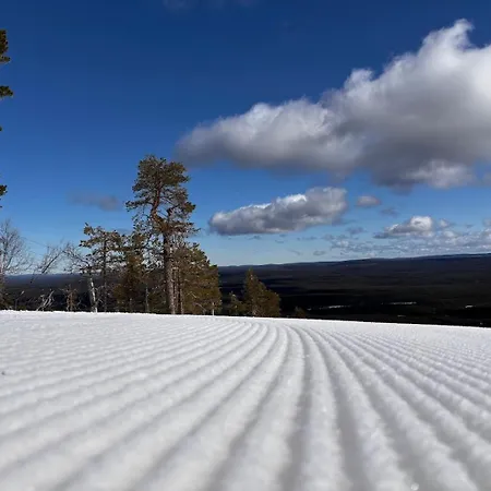 Lapland Lomalaavu *